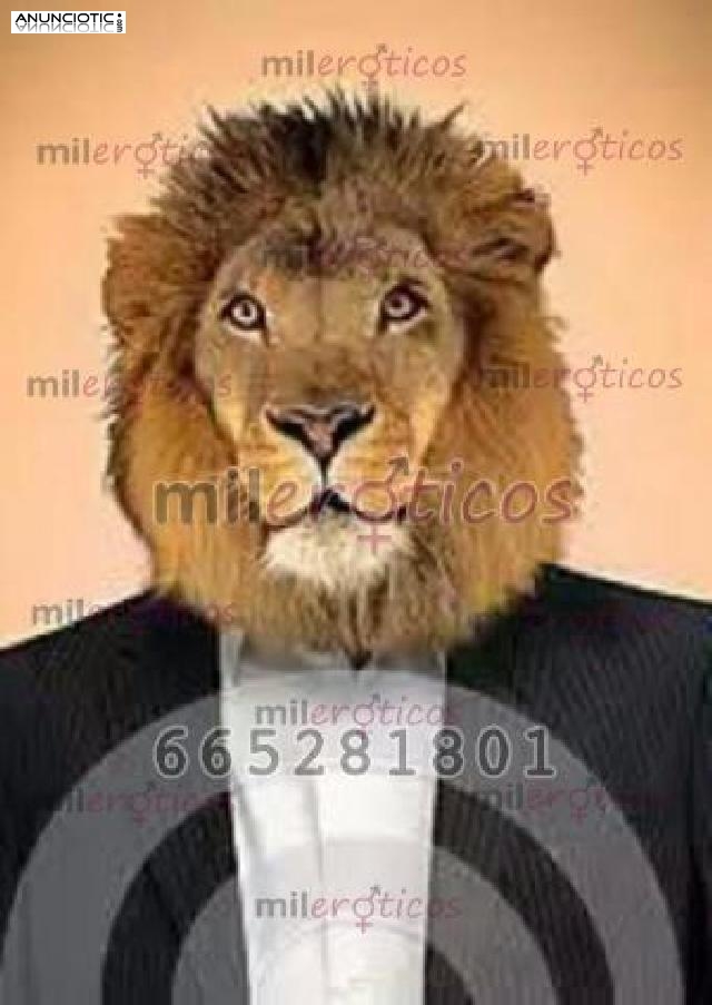 Latino simp&aacute;tico 665 28 18 01