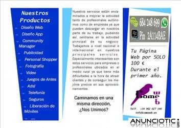 Dise&ntilde;o web econ&oacute;mico