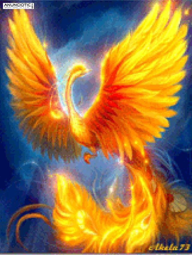 &iexcl;&iexcl;&iexcl;No te quedes con dudas ll&aacute;manos 918 380 034 Tarot econ&oacute;mico y fiable.  