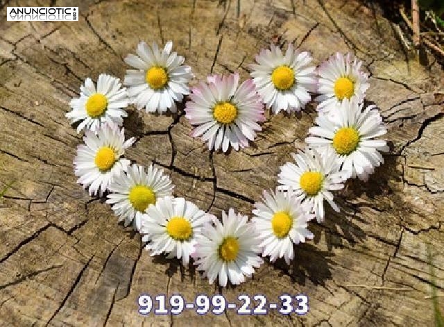 Videncia y videntes del amor espa&ntilde;oles