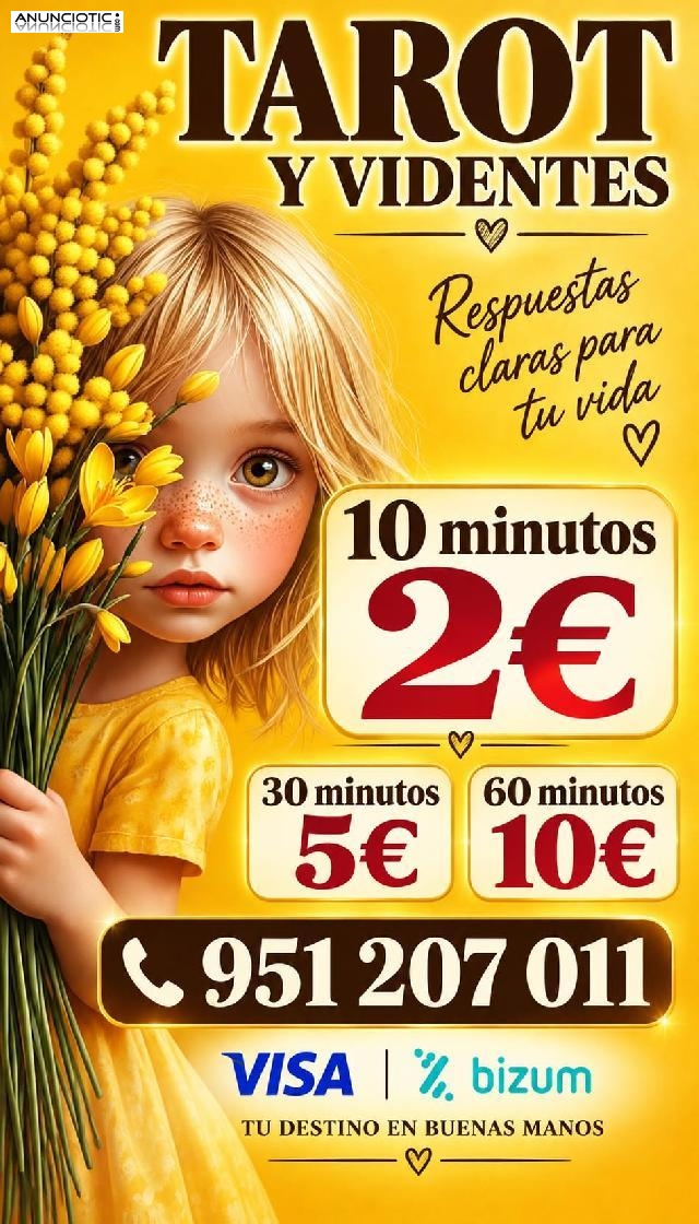 videntes naturales economico 