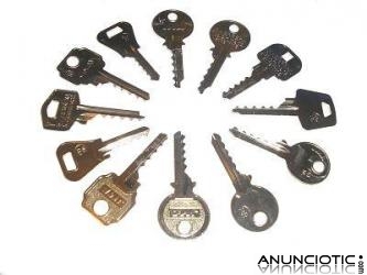 Ganz&uacute;as de todo tipo utilizadas para la apertura de cerraduras