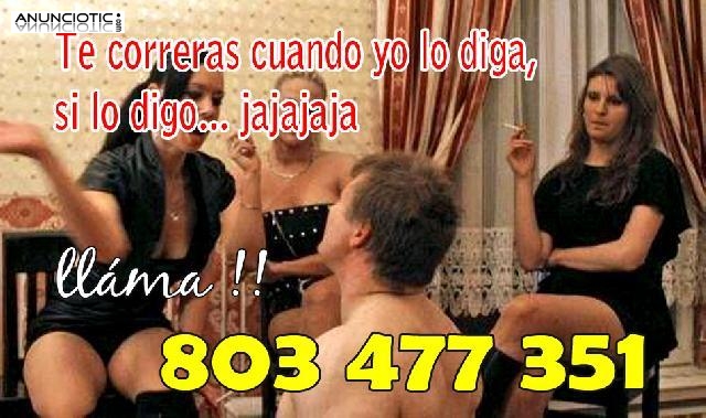 Venga, s&aacute;catela, puerco, y empieza a meneartela que yo te vea