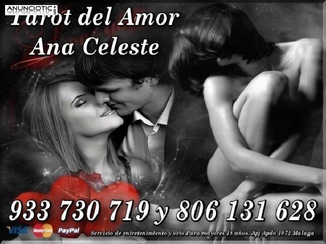 ````Consultas Detalladas del Amor Ana Celeste Visa Econ&oacute;mica````