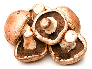 champinon_portobello