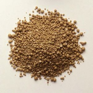 levadura de cerveza1