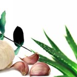 Antibióticos Naturales