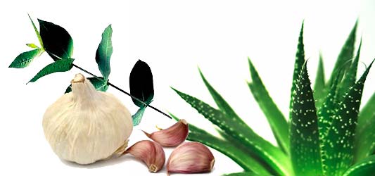 antibioticos-naturales